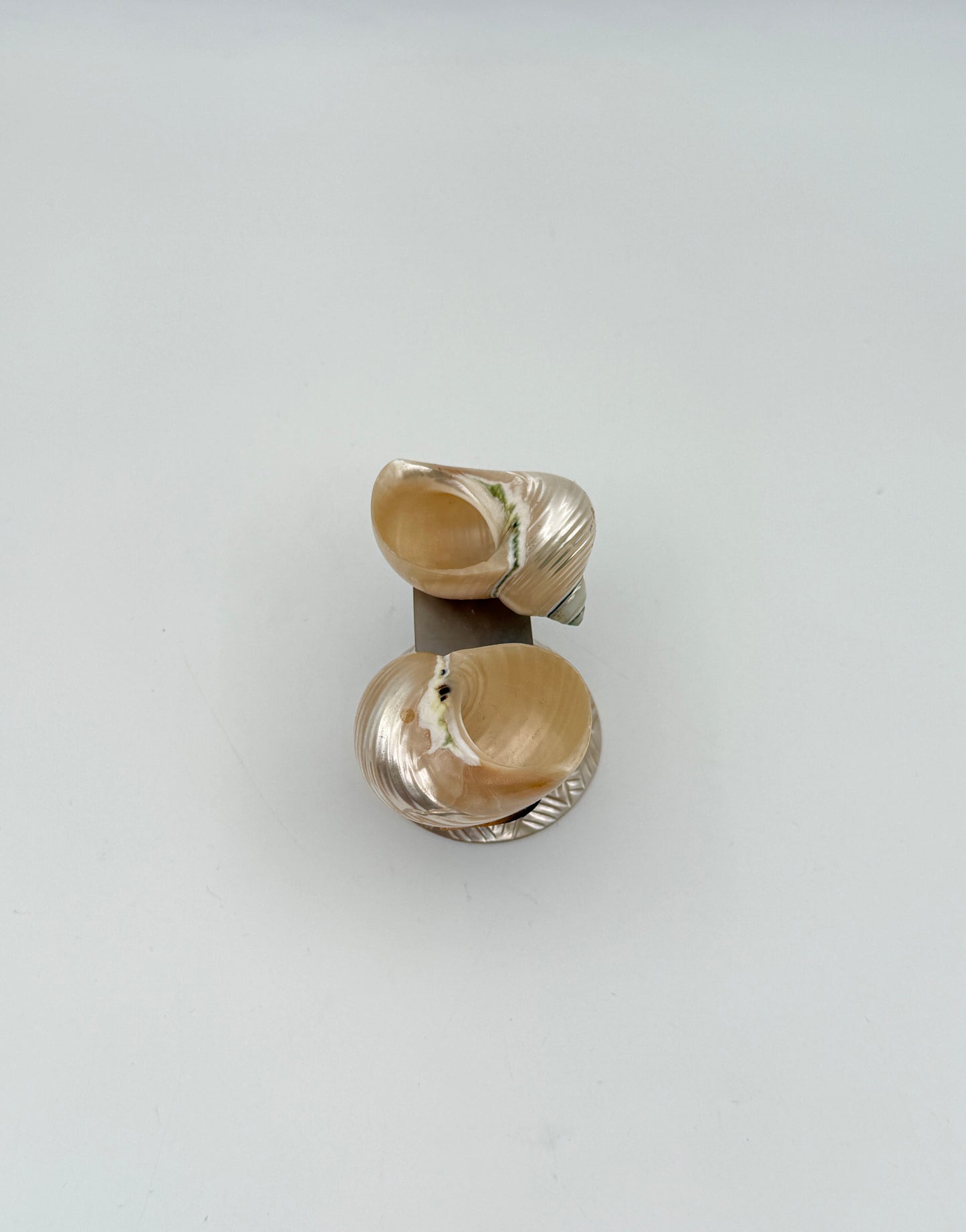 Polished Shell Salt & Pepper Set on Pedestal with Spoon