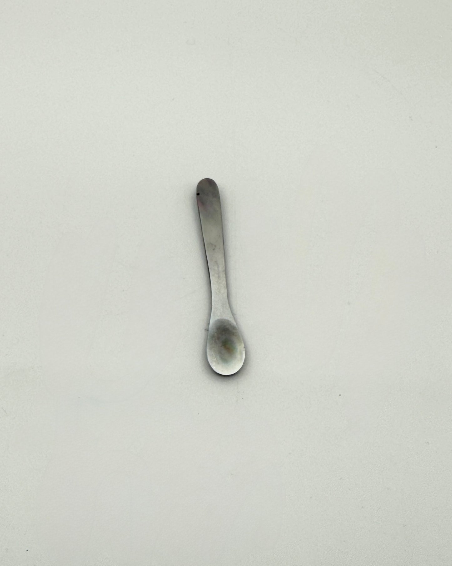 Polished Shell Salt & Pepper Set on Pedestal with Spoon