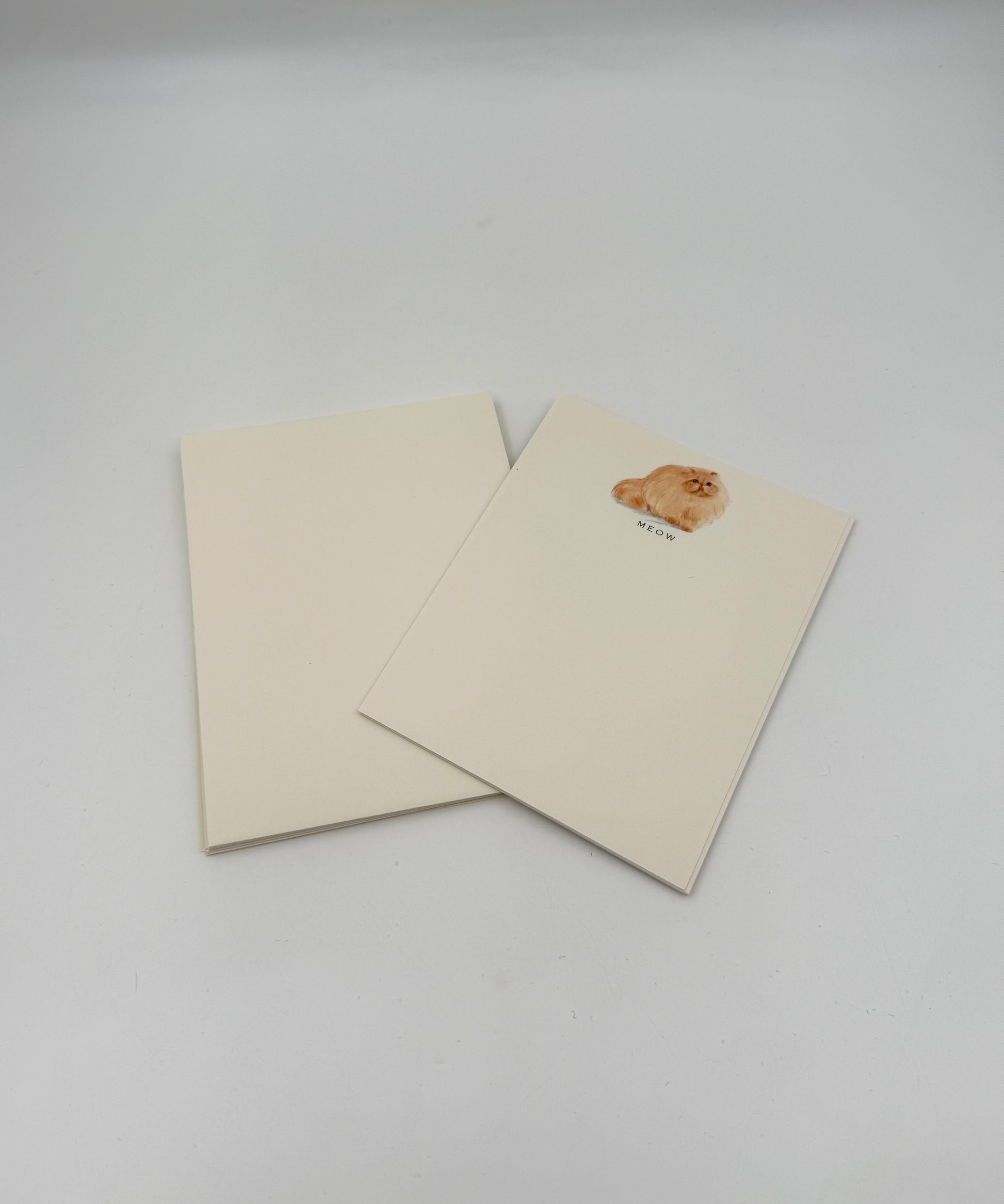 Cat Notecards – “MEOW”  Fluffy Orange Cat – Set of 6 by Fable & Sage