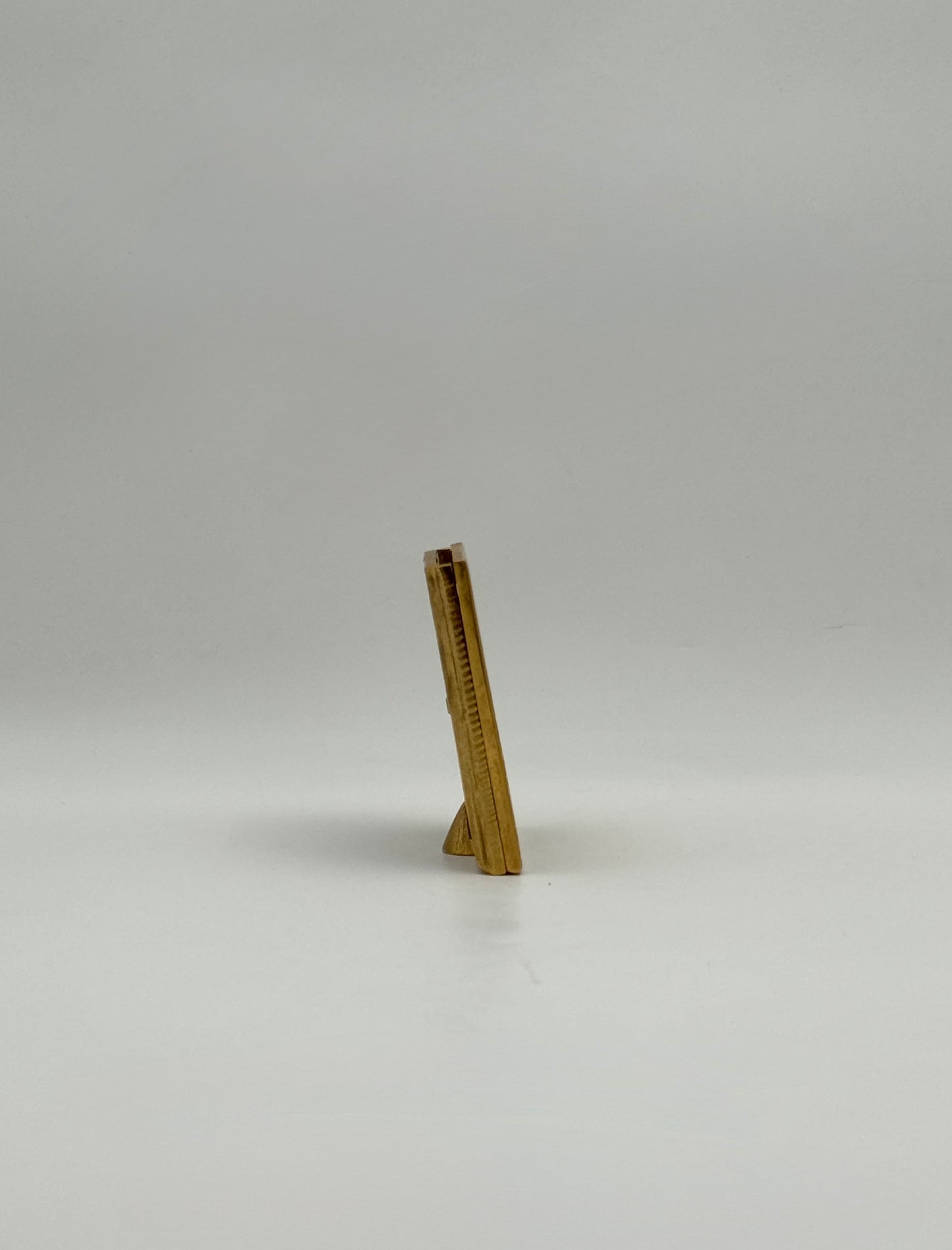 Jay Strongwater Animal Print Enamel Frame with Gold Swarovski Crystals