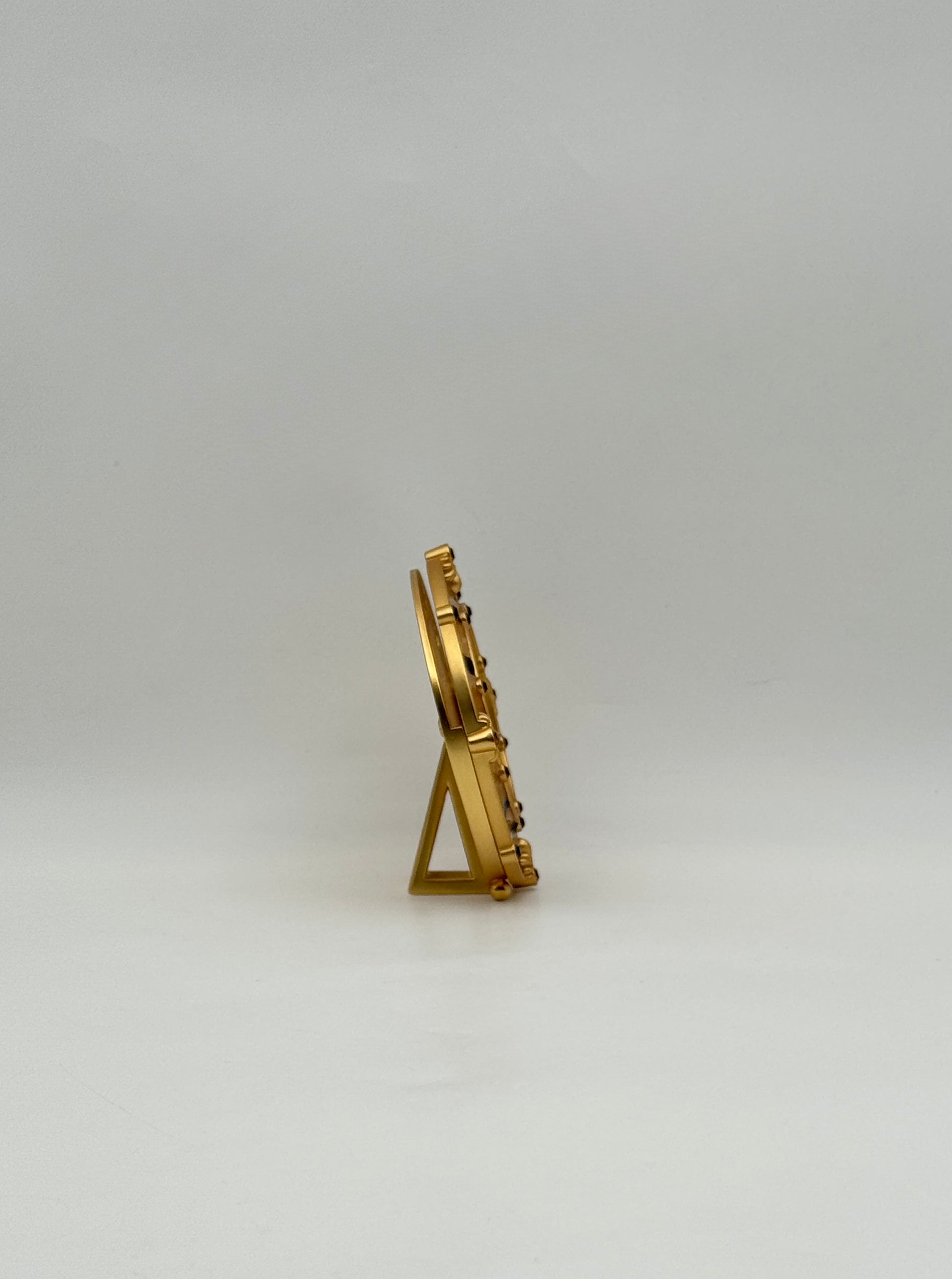 Jay Strongwater Round Animal Print Frame Gold Tone Swarovski Crystals