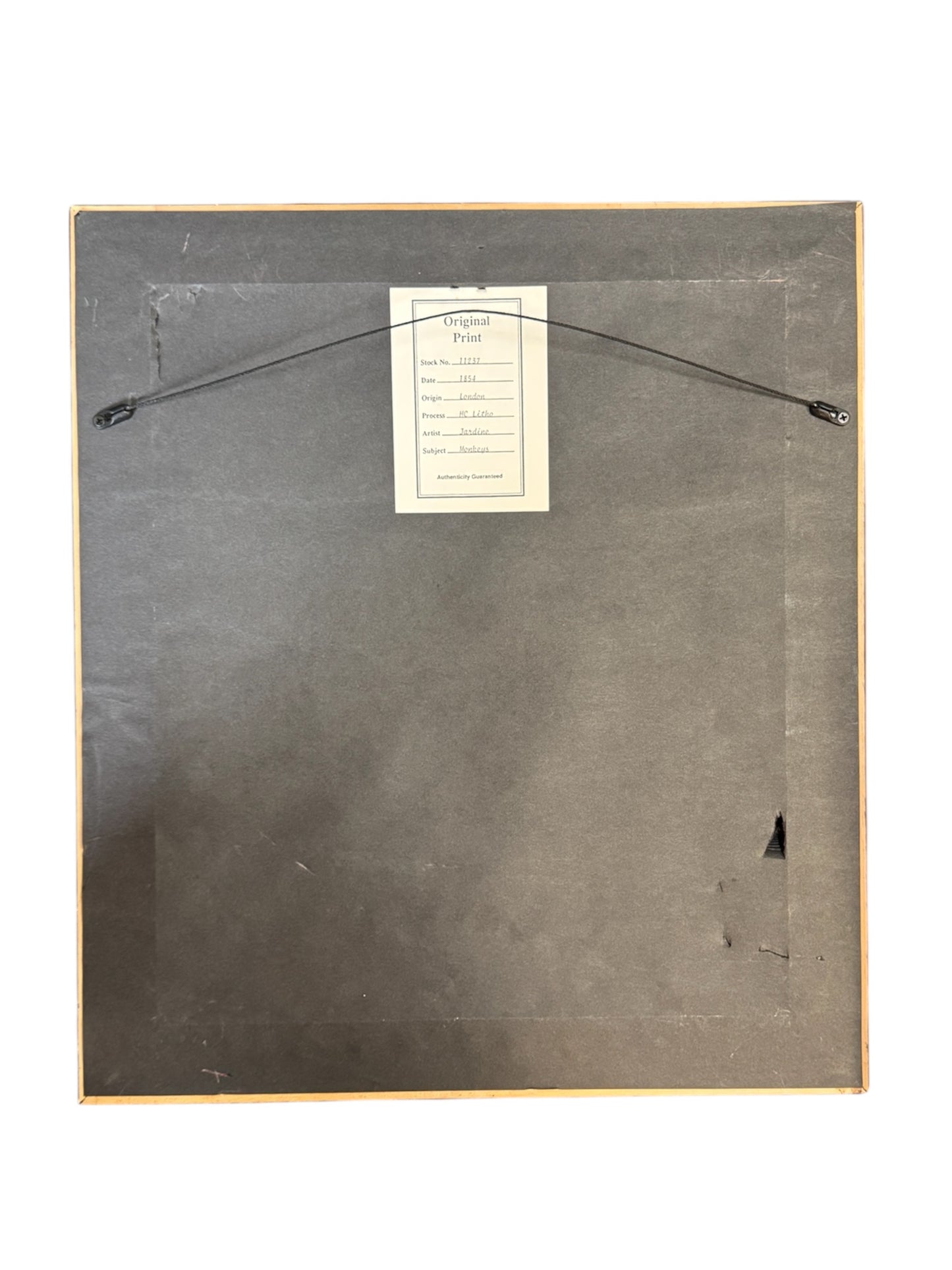 Pair of Antique Monkey Prints by Jardine, London 1854 – Framed