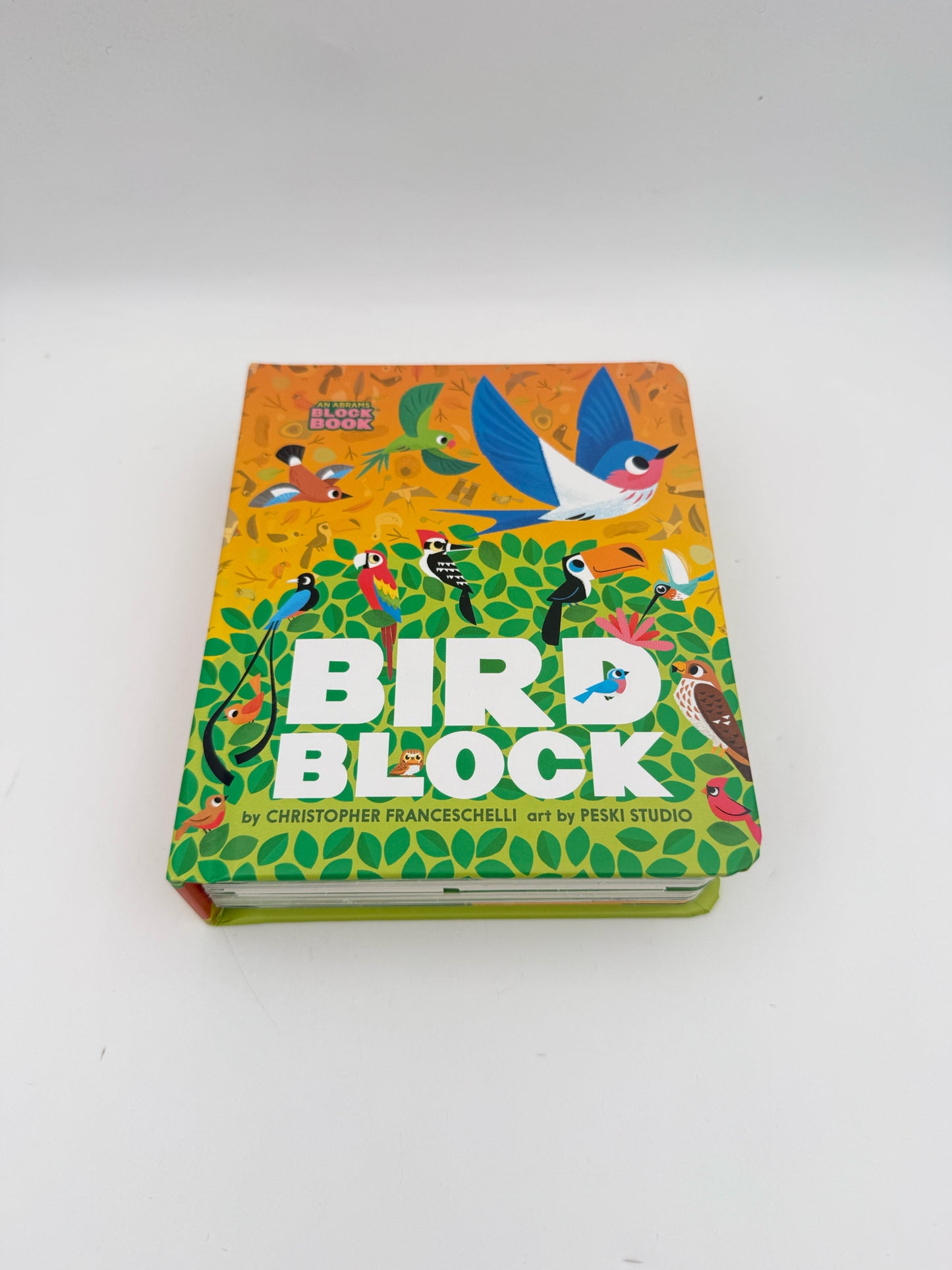 Bird Block By Christopher Franceschelli Children's Board Book