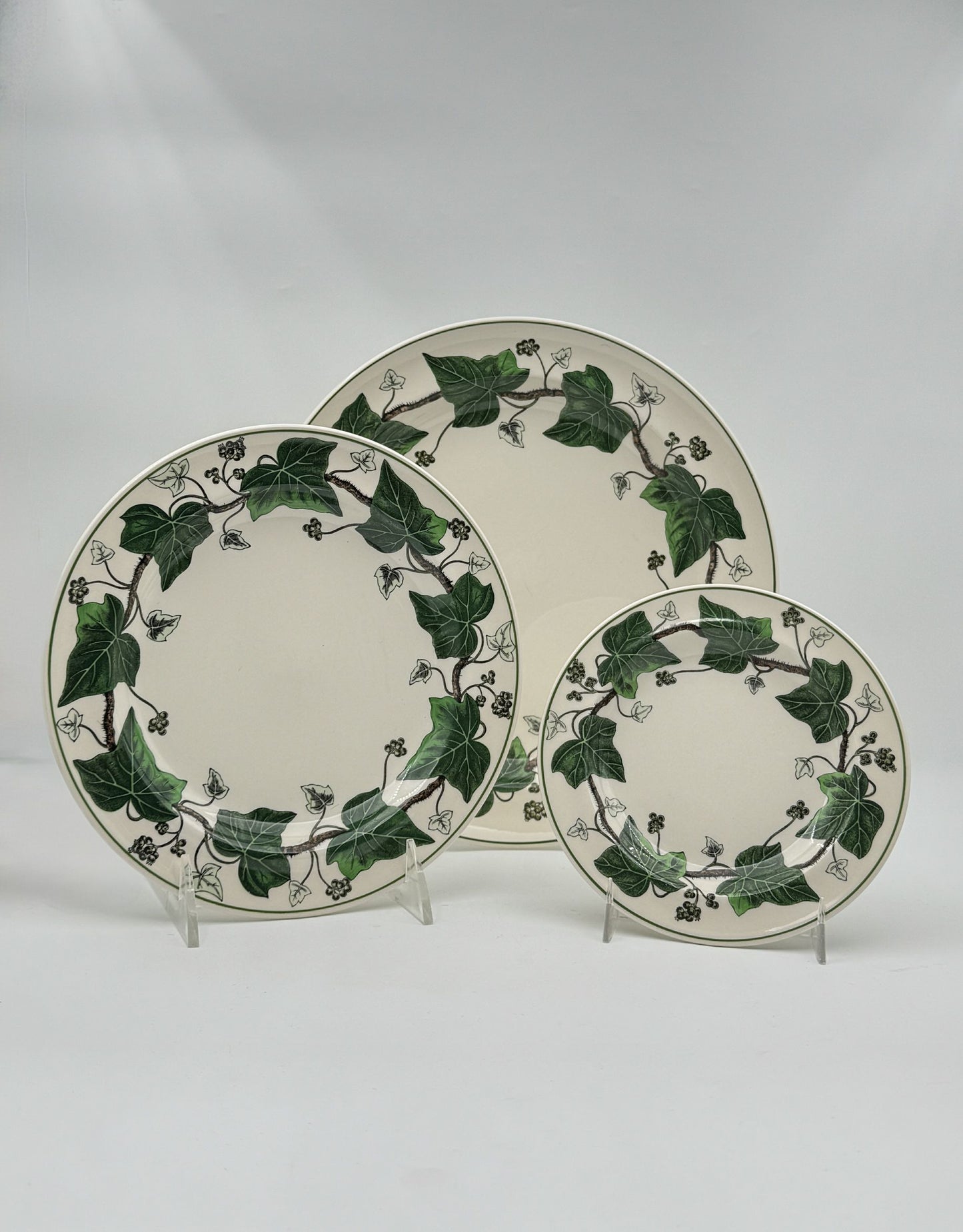 Wedgwood “Napoleon Ivy” Dinnerware Set – 16 Pieces, England