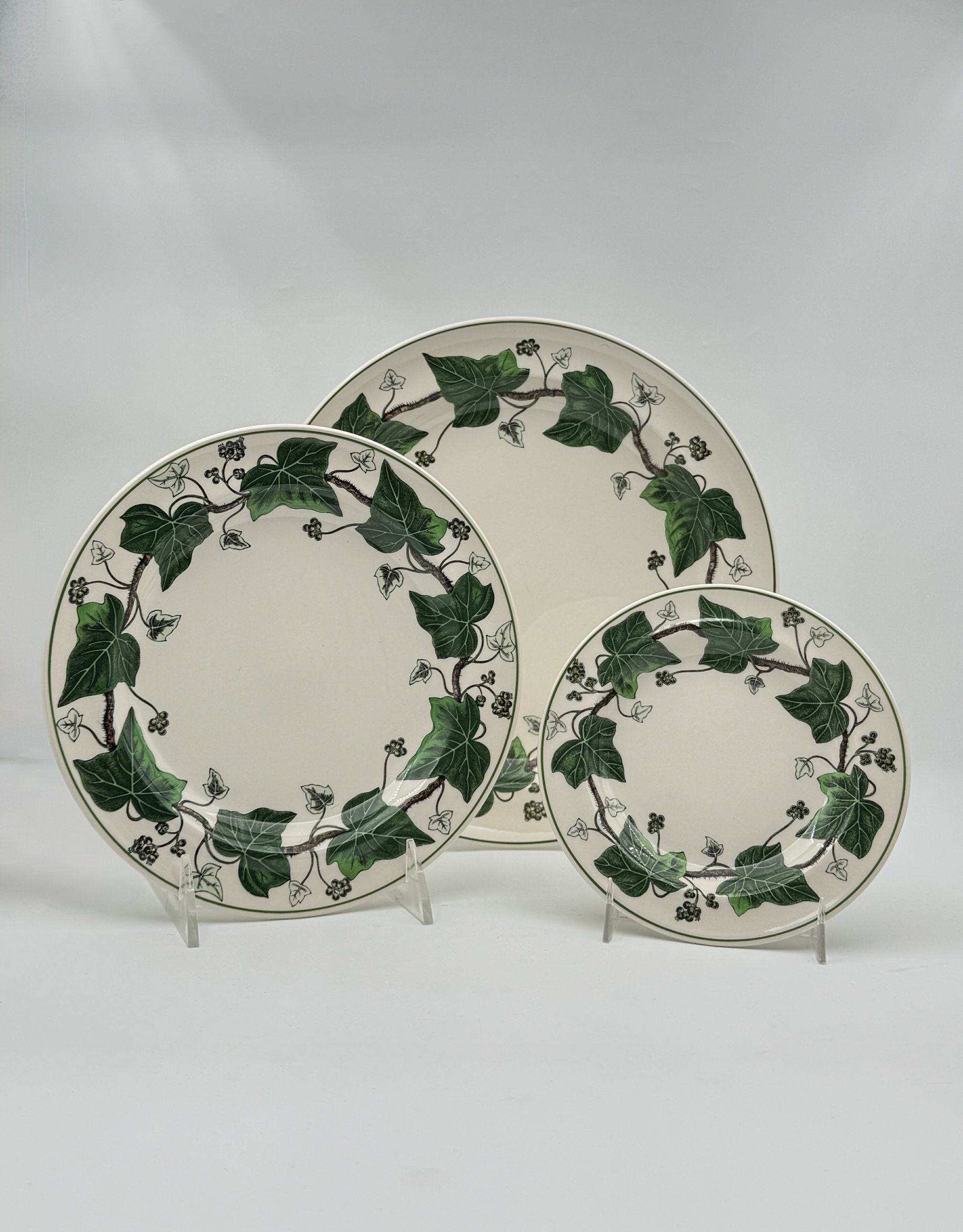 Wedgwood “Napoleon Ivy” Dinnerware Set – 16 Pieces, England