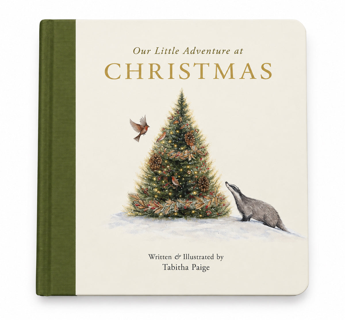Our Little Adventure At Christmas Board Book