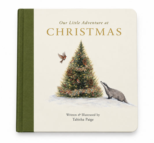 Our Little Adventure At Christmas Board Book