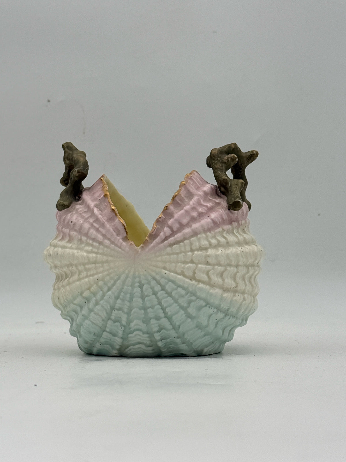 Purple Open Shell Bowl