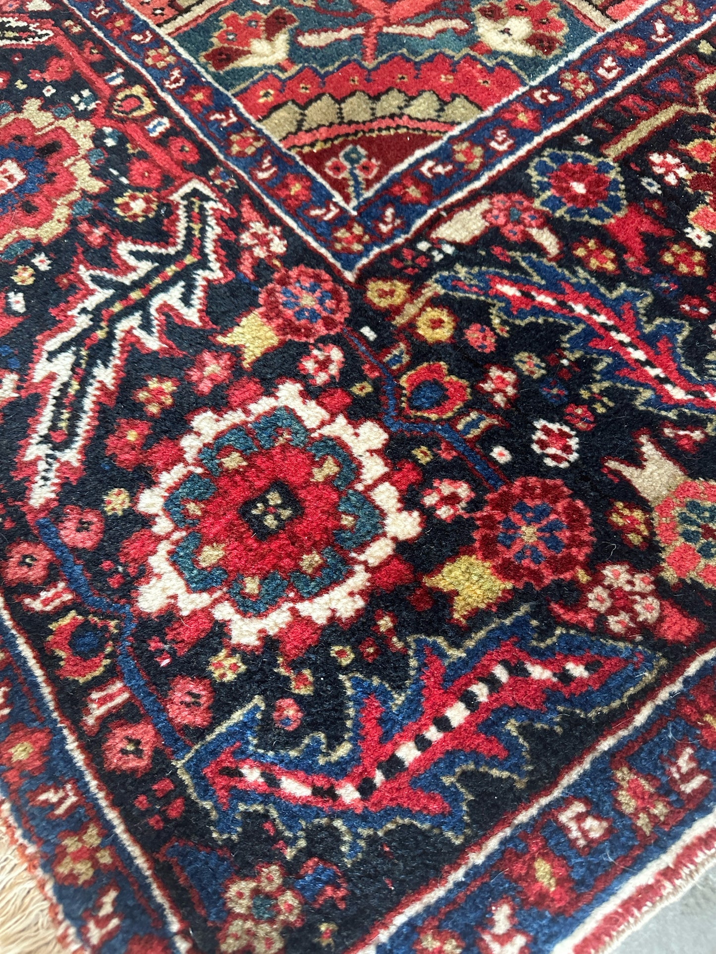 Rug