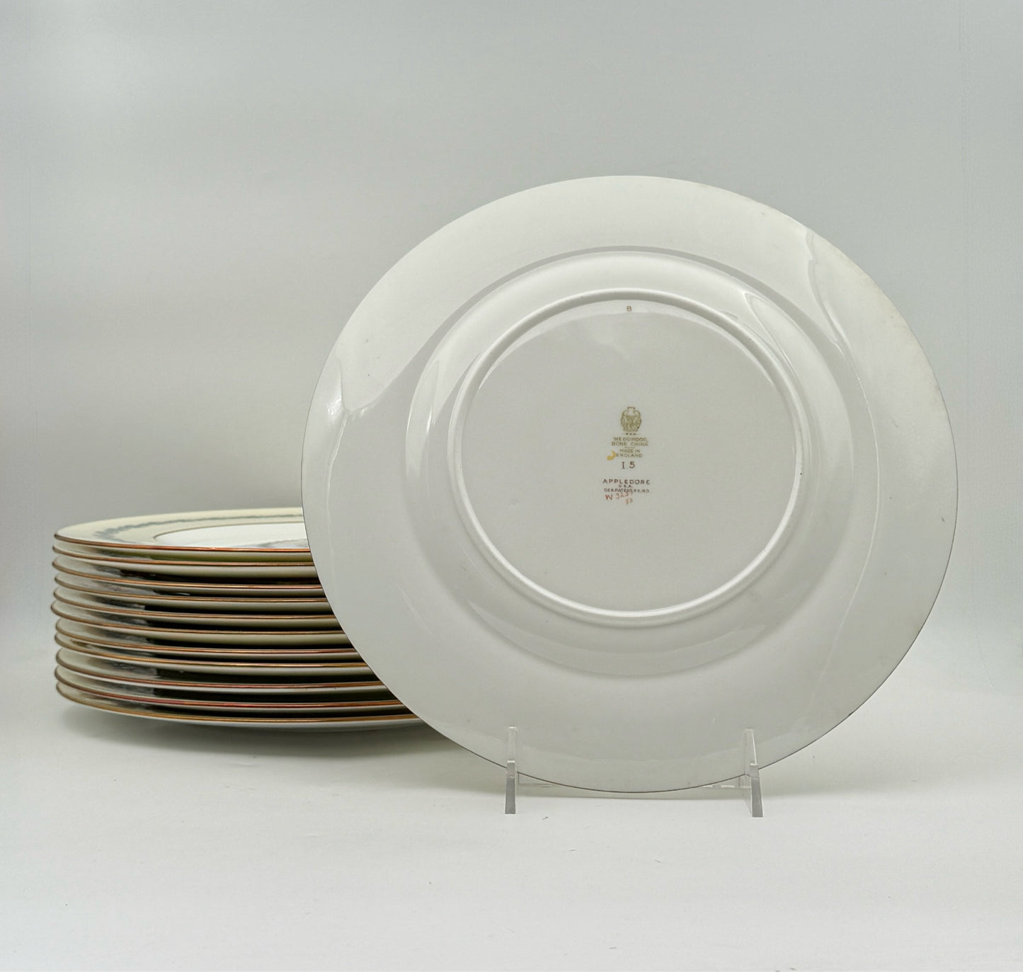 Wedgwood Appledore Dinner Plates- Set Of 12