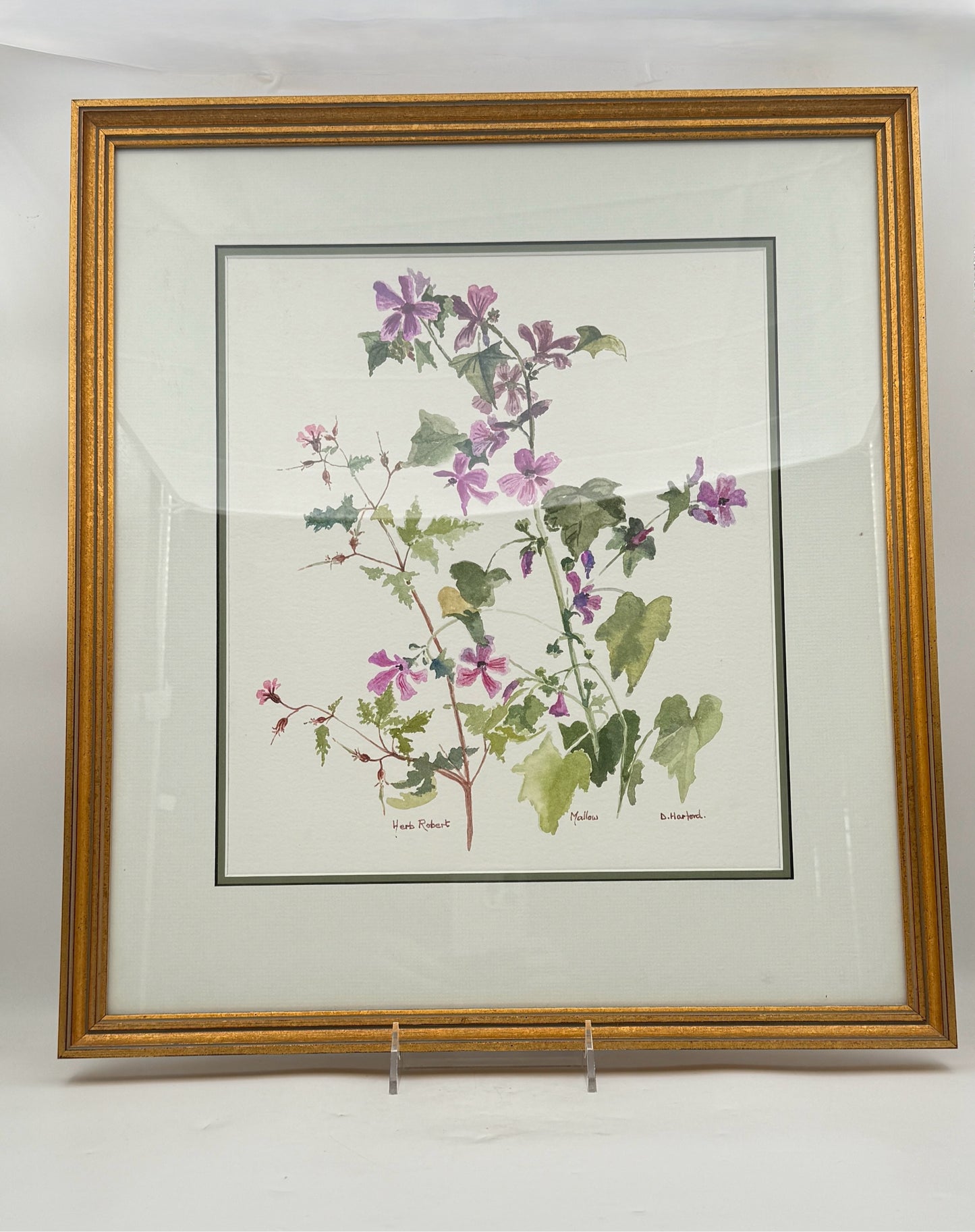 Framed Botanical Watercolor Painting By D. Hanford