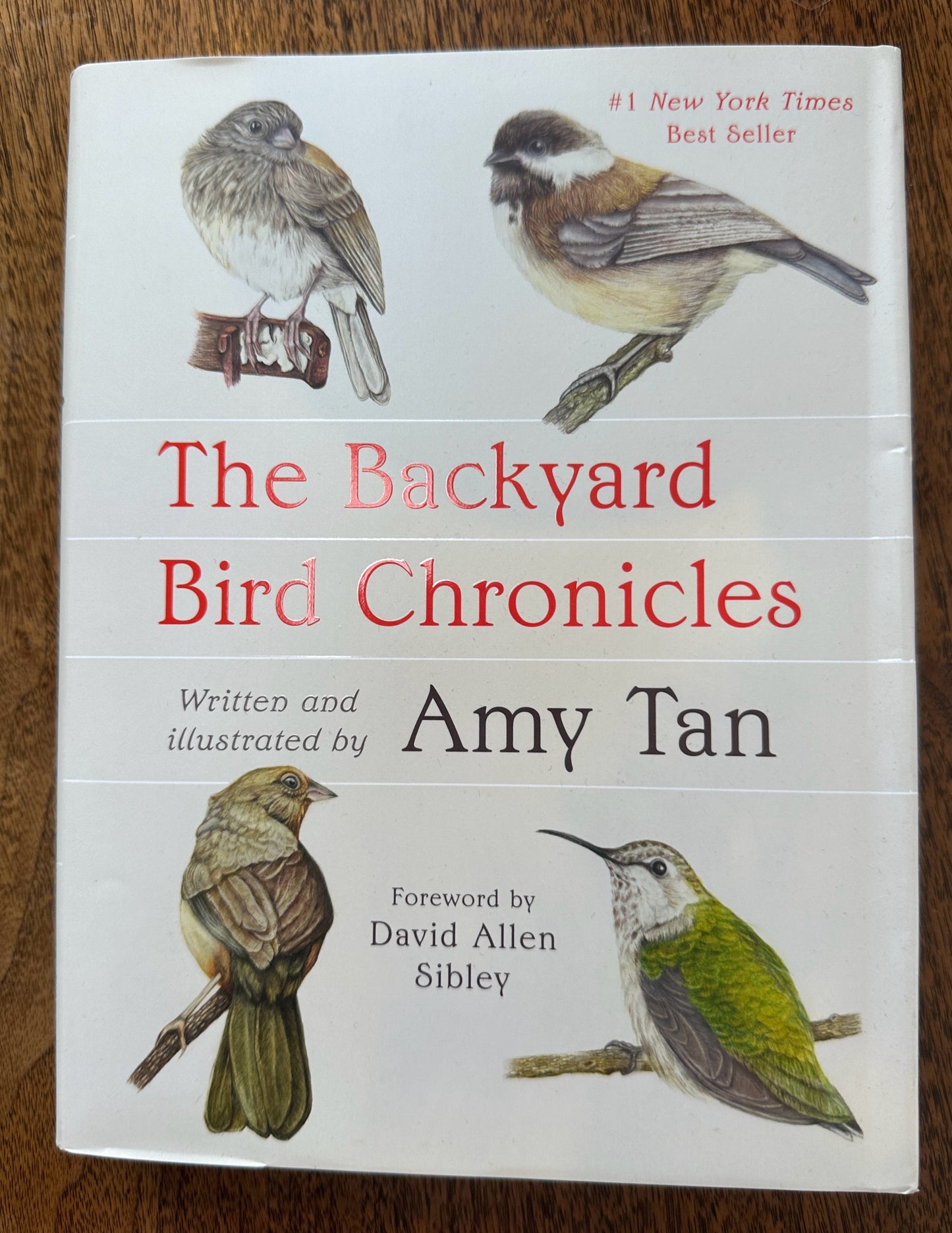 Backyard Bird Chronicles