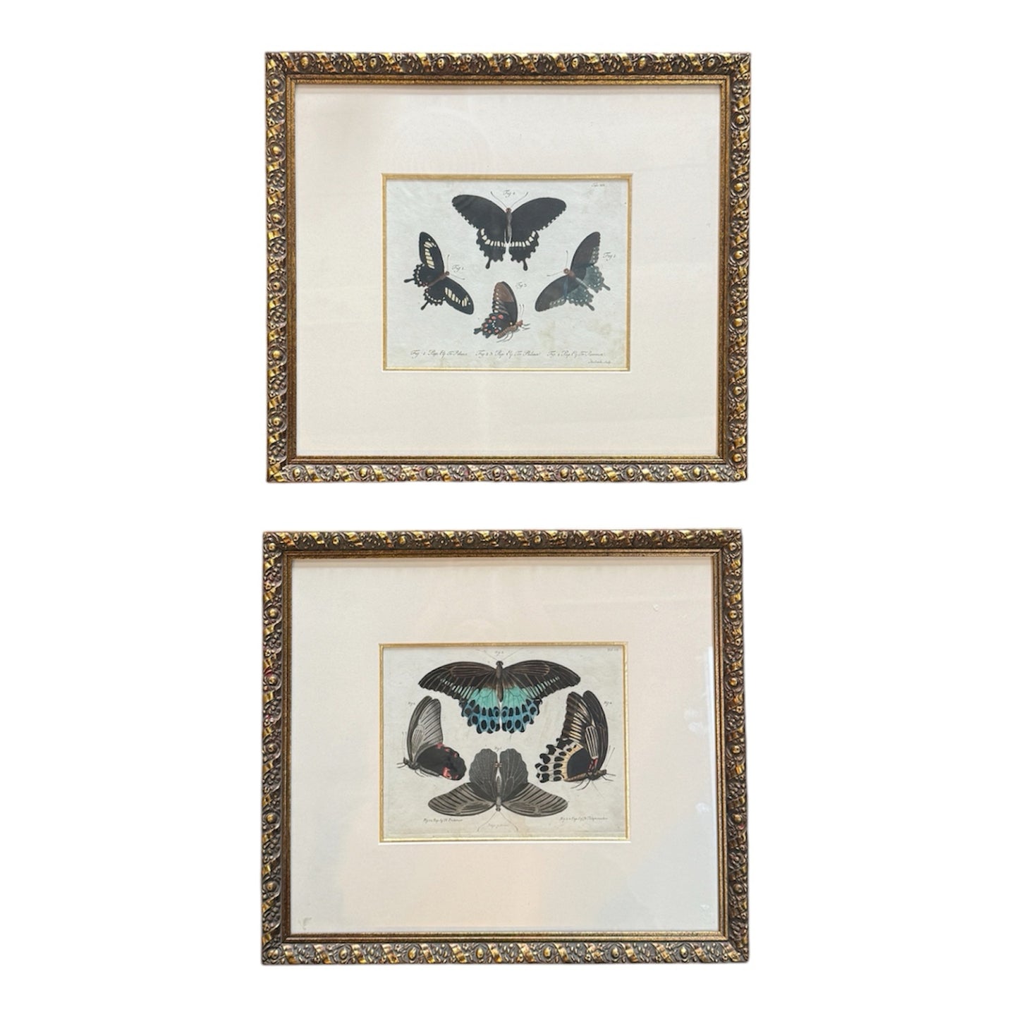 Antique Framed Hand-Colored Butterfly Engraving- Set Of 2