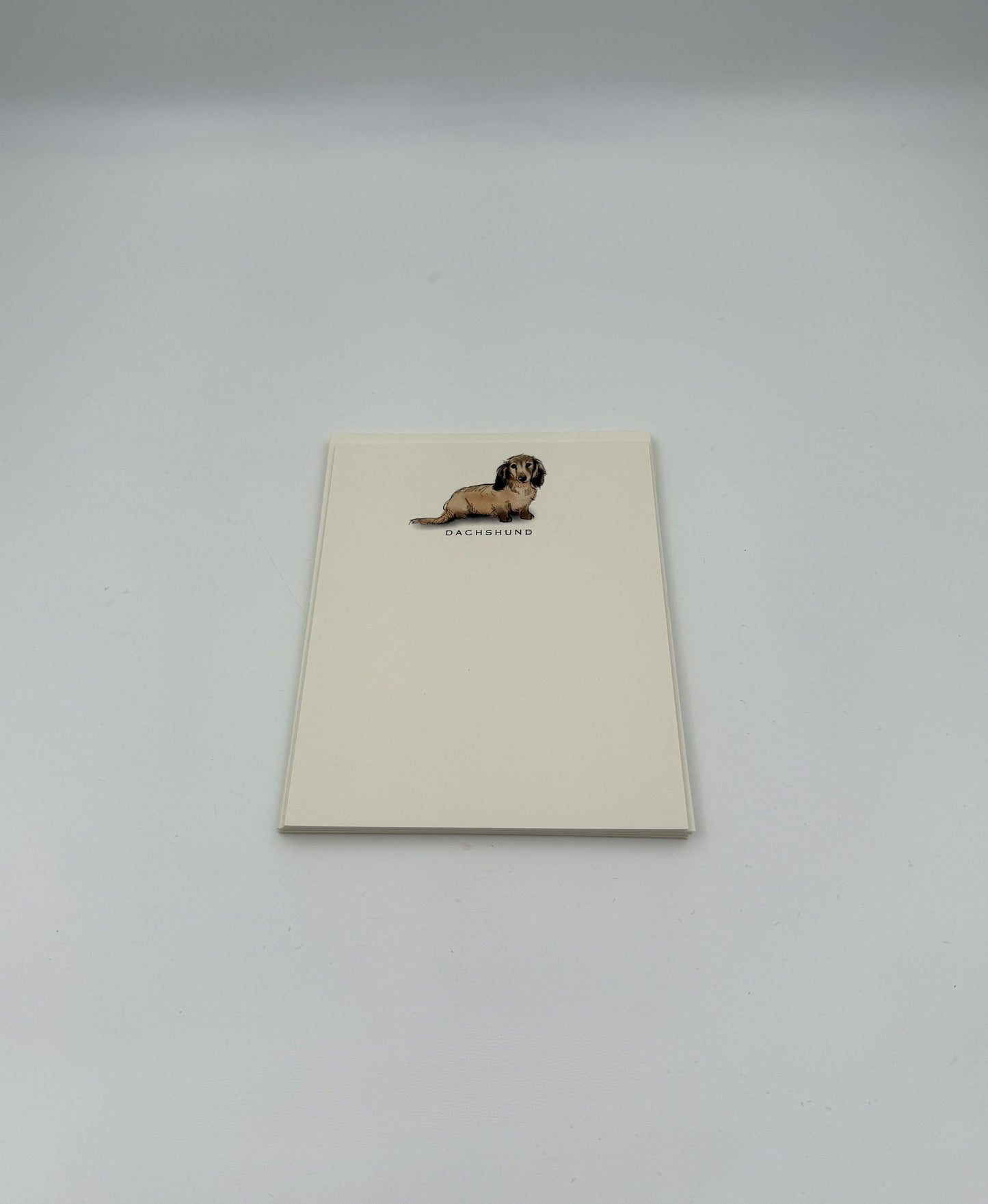 Dog Notecards – Dachshund Set of 6 by Fable & Sage with Envelopes
