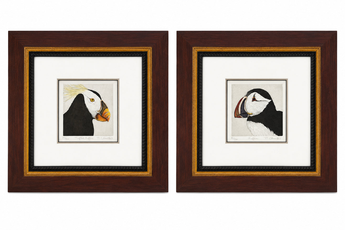 Nancy Charles Framed Pair Of Puffin Bird Etchings