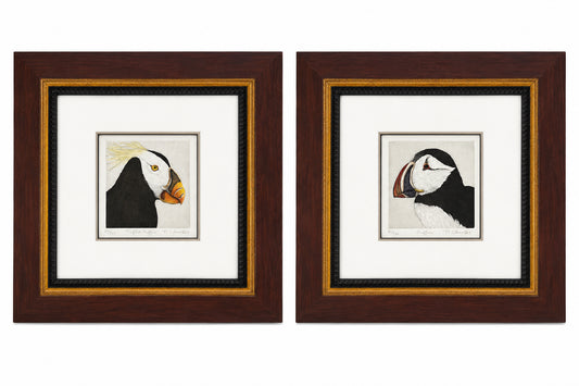 Nancy Charles Framed Pair Of Puffin Bird Etchings