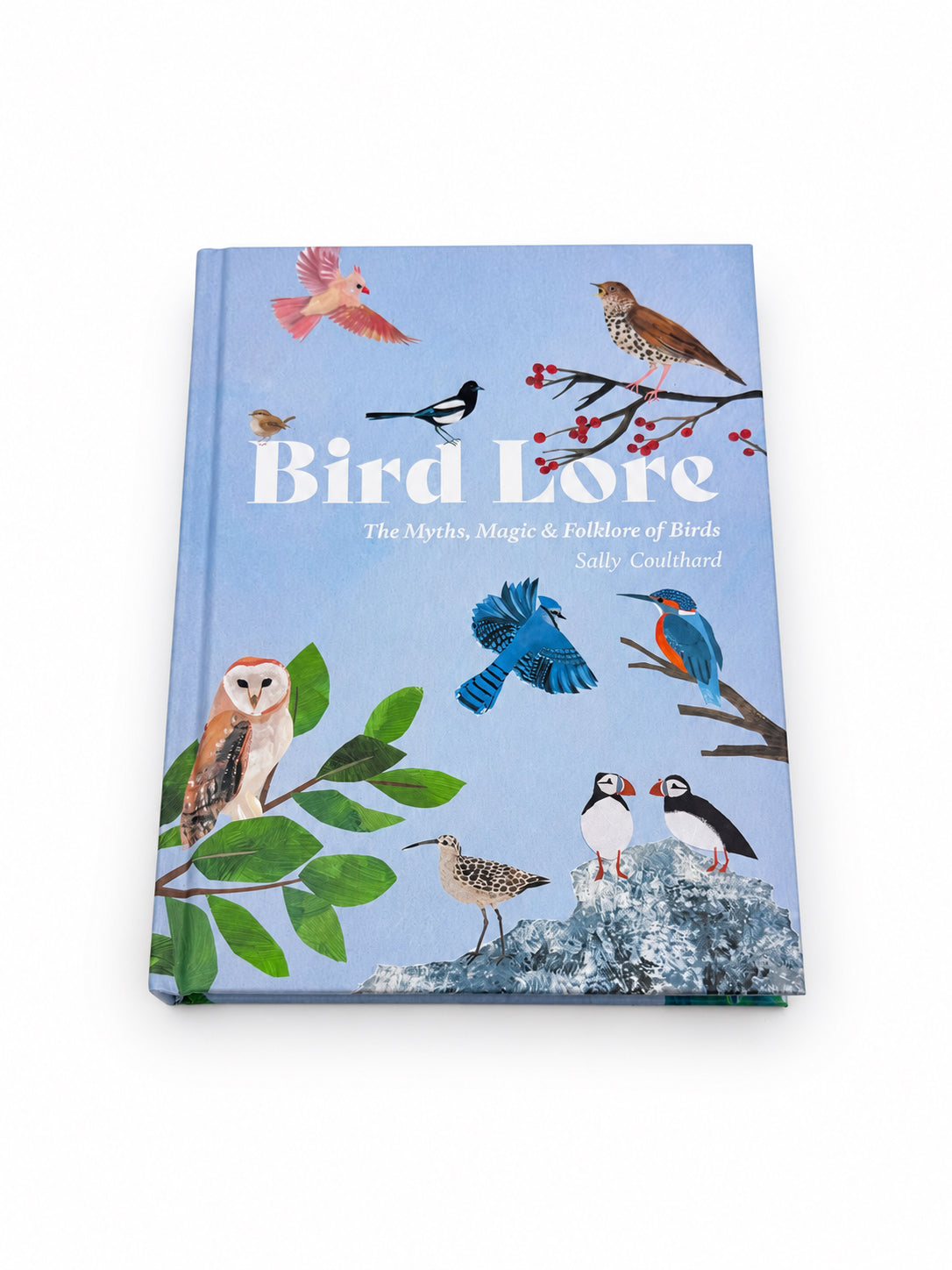 Bird Lore By Sally Coulthard