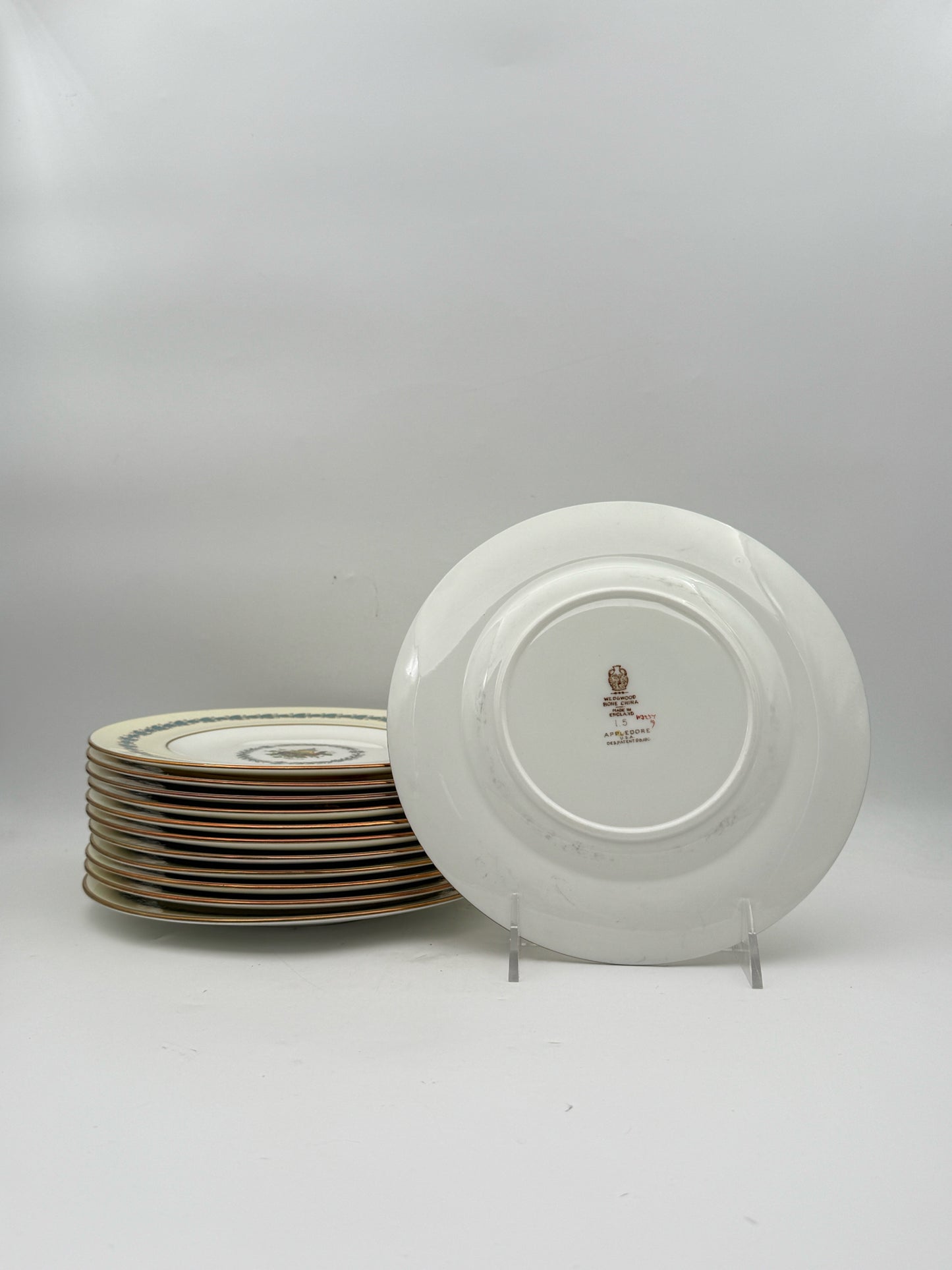 Wedgwood Appledore Salad Plates- Set Of 12